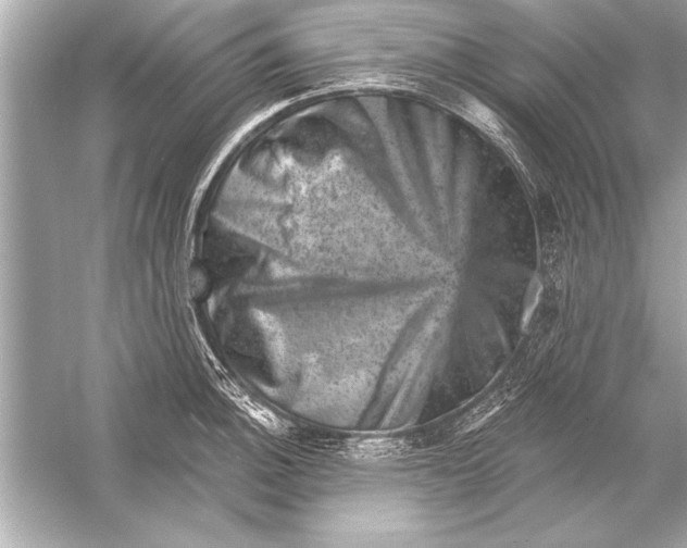 X0000051891140200507222009