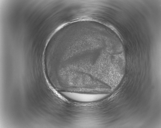 X0000051891142200507222009