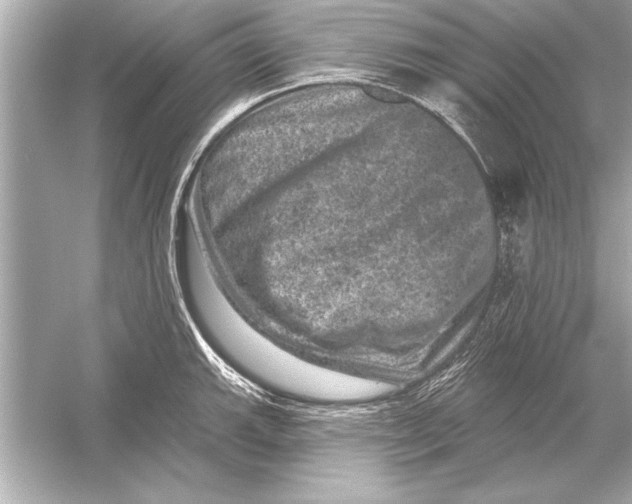 X0000051891143200507222009