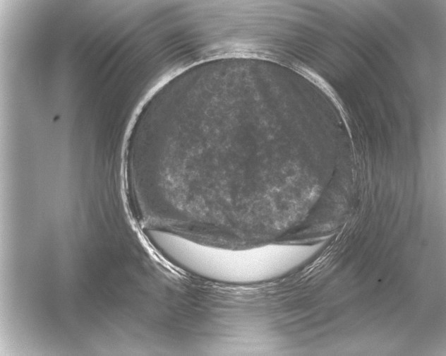 X0000051891144200507222009