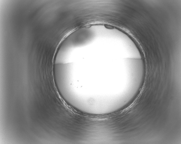 X0000051891145200507222009