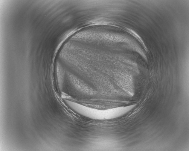 X0000051891146200507222009