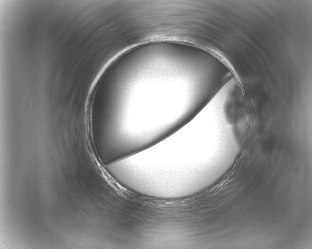 X0000051891148200507222009