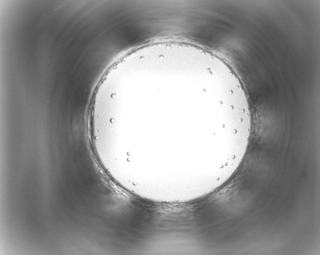 X0000051891150200507222009