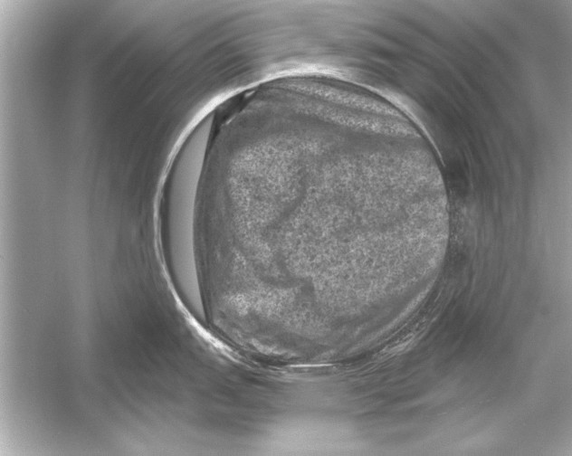 X0000051891151200507222009