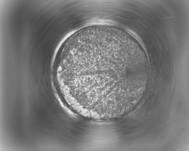 X0000051891152200507222009