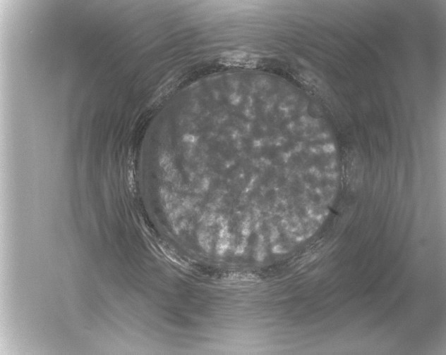 X0000051891154200507222008