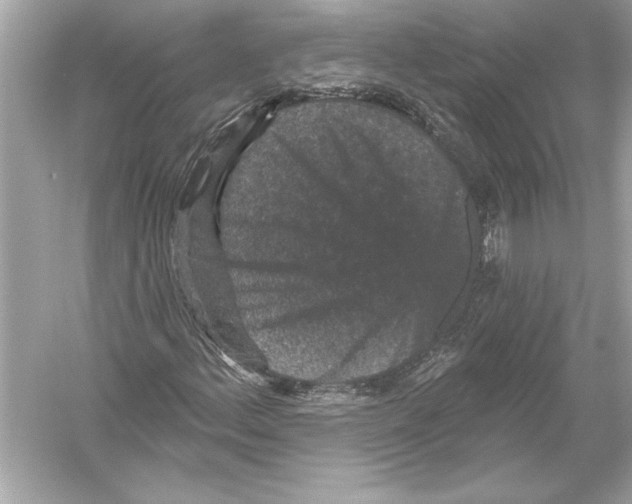 X0000051891156200507222008