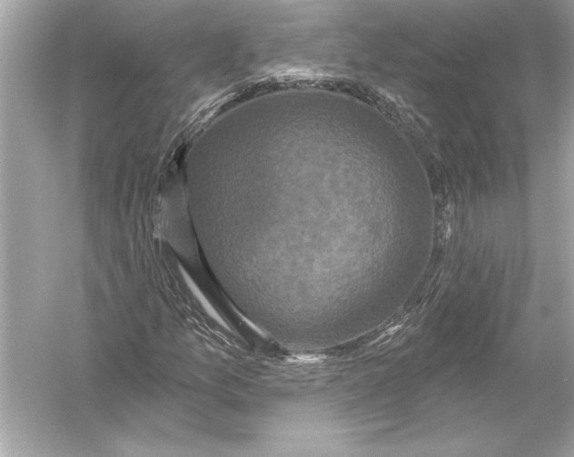 X0000051891157200507222008