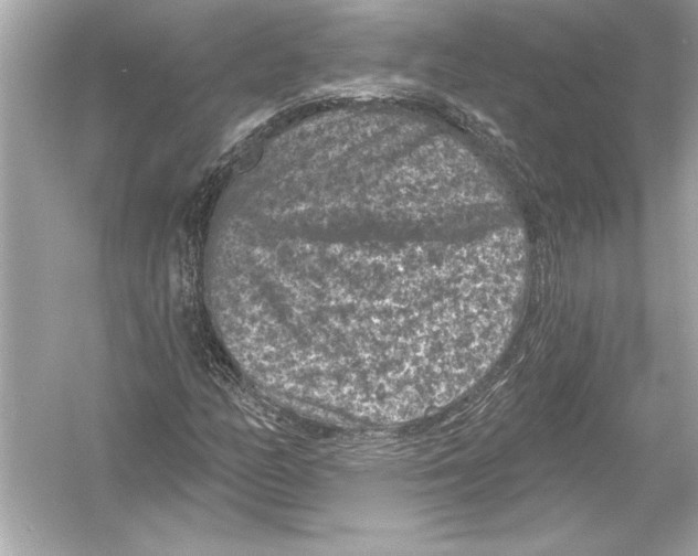 X0000051891158200507222008