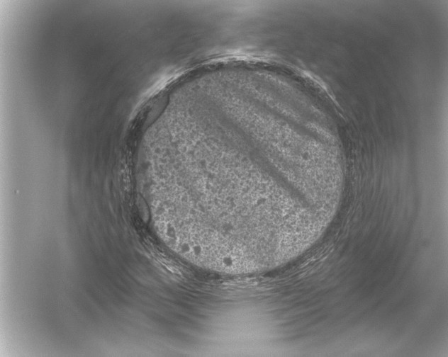 X0000051891159200507222008