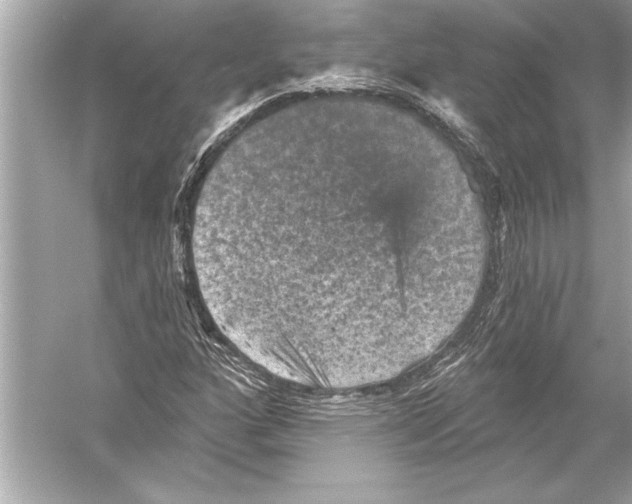 X0000051891160200507222008