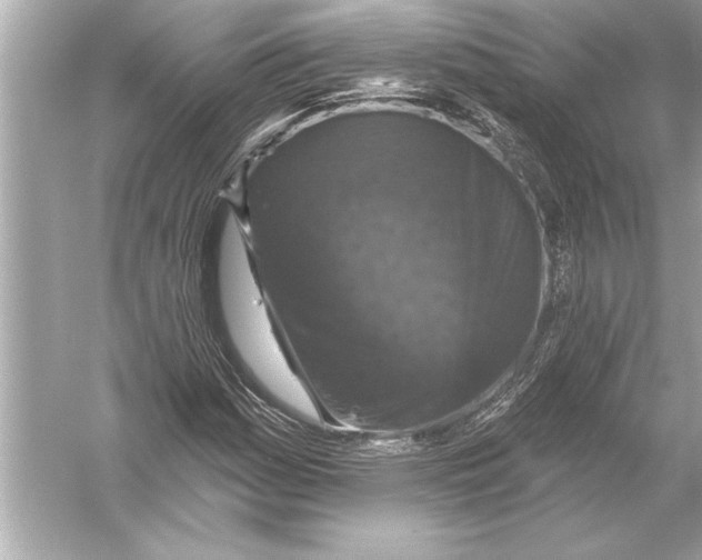 X0000051891161200507222008