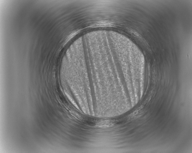 X0000051891162200507222008