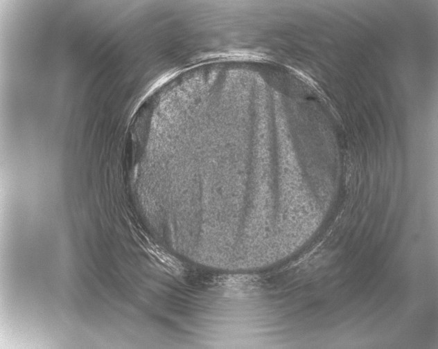 X0000051891163200507222008