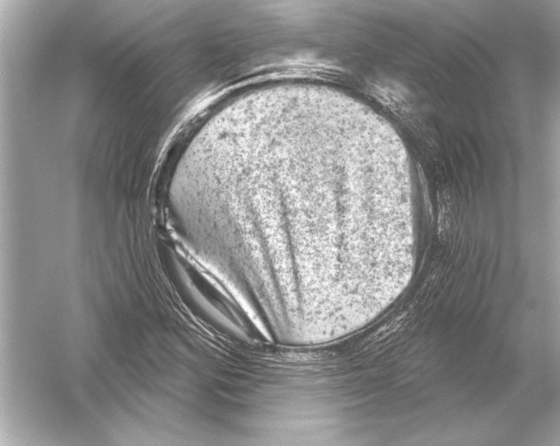 X0000051891164200507222008