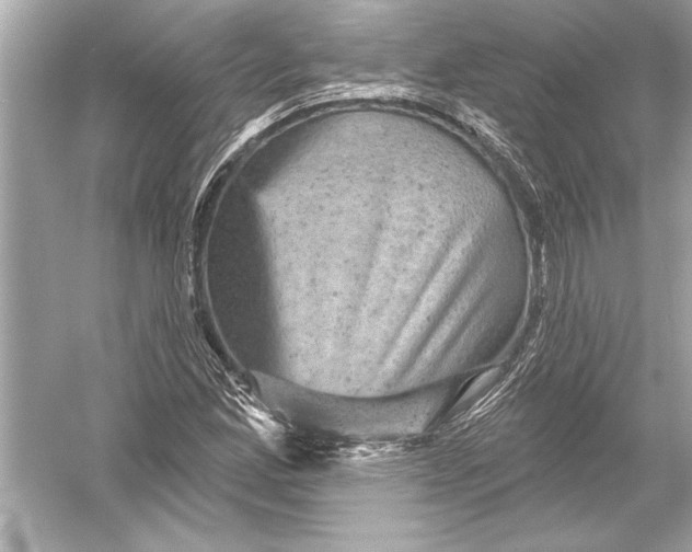 X0000051891165200507222008