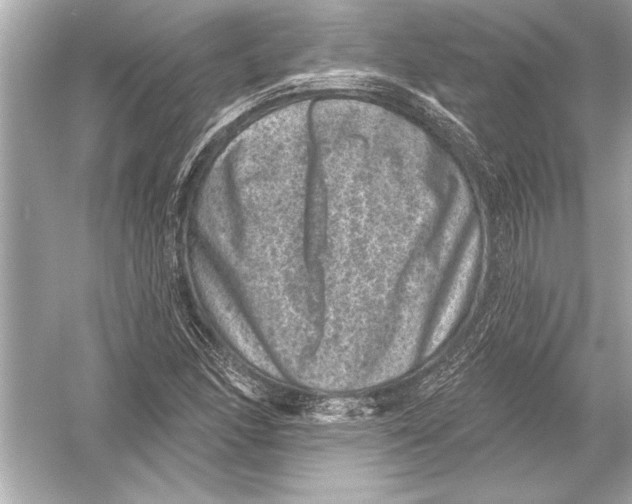 X0000051891166200507222008