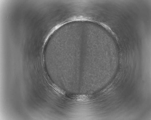 X0000051891167200507222008