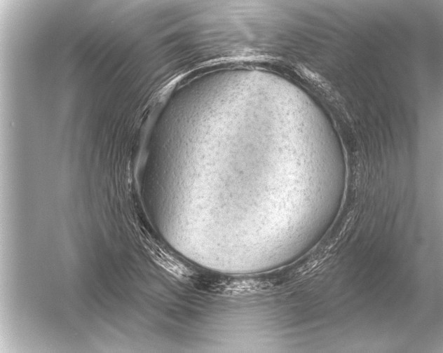 X0000051891169200507222008