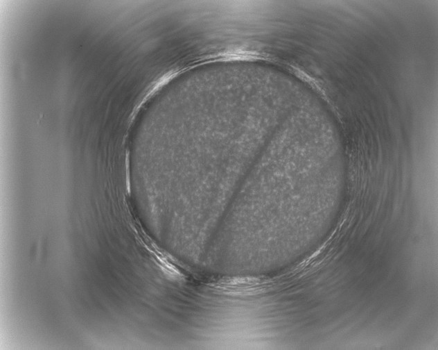 X0000051891171200507222008