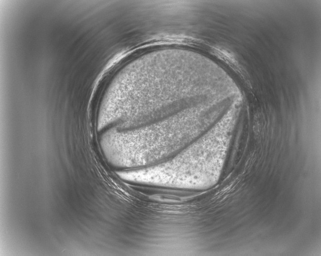 X0000051891172200507222008