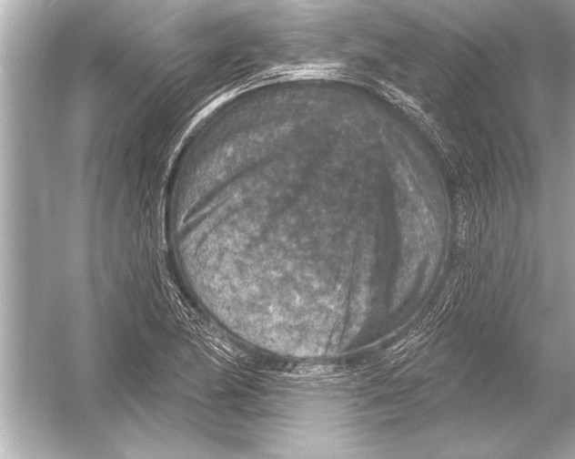 X0000051891174200507222008