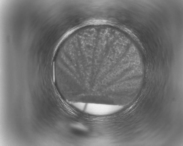 X0000051891175200507222008