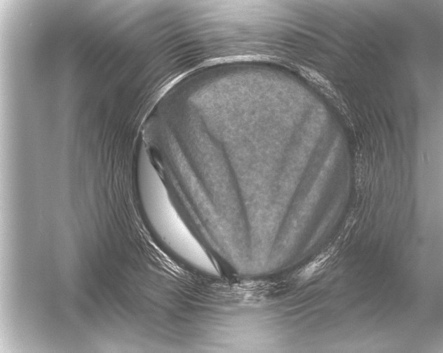 X0000051891177200507222008