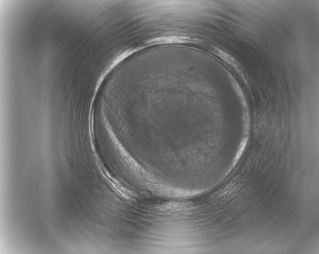 X0000051891179200507222008