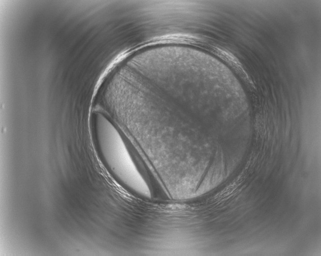 X0000051891180200507222008