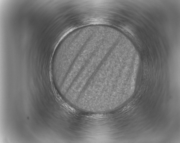 X0000051891182200507222008