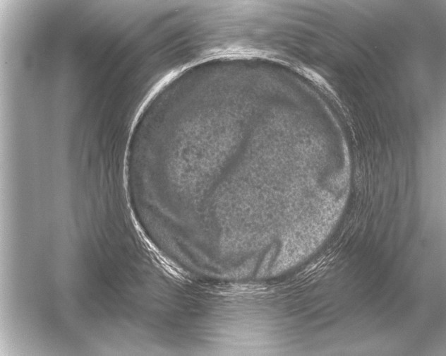 X0000051891183200507222008