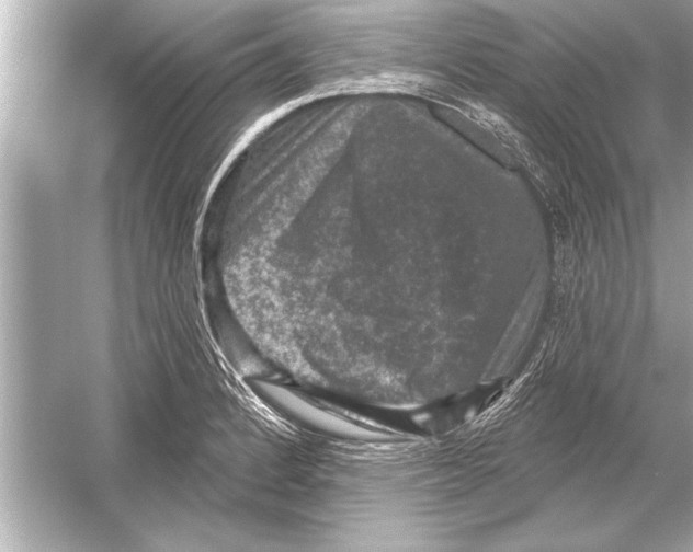 X0000051891184200507222008