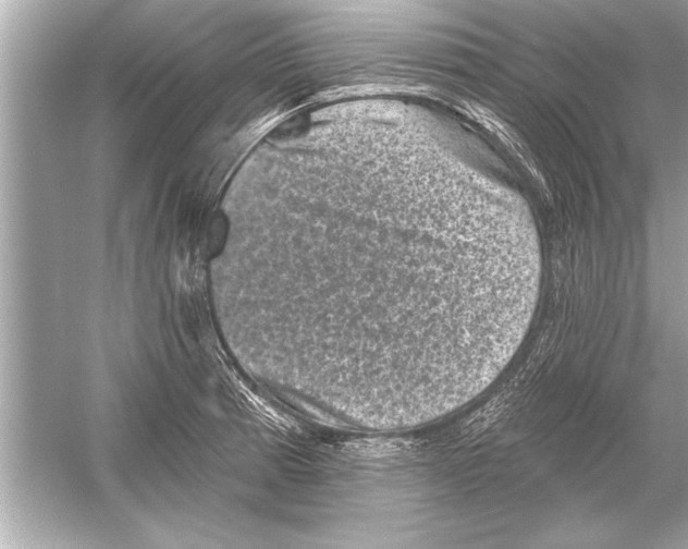 X0000051891185200507222008