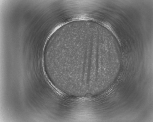 X0000051891187200507222008