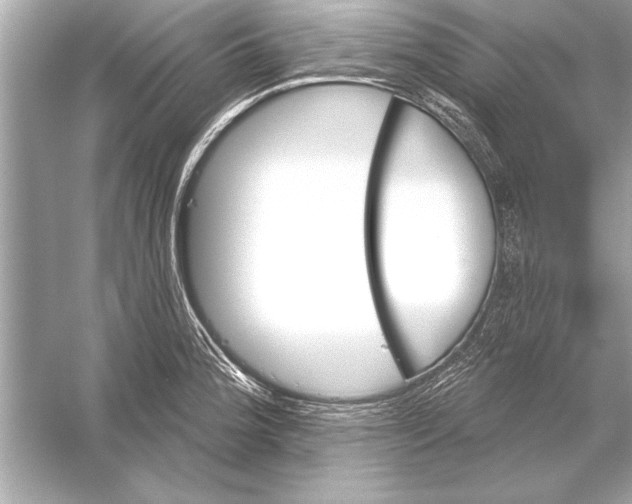 X0000051891188200507222008