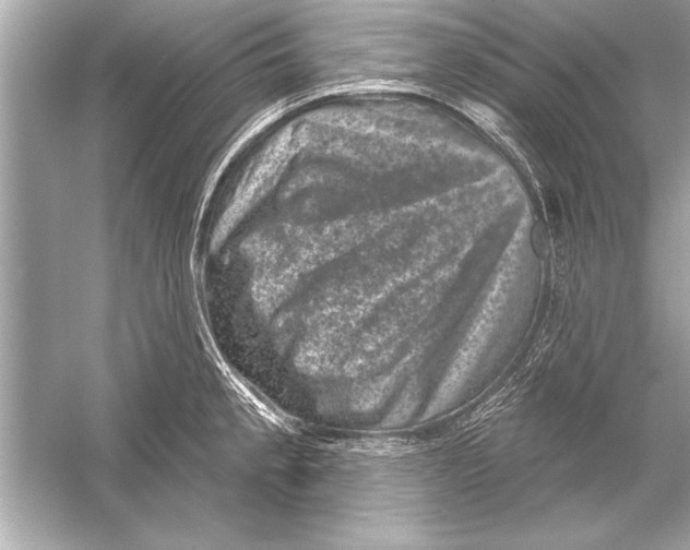 X0000051891189200507222008