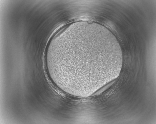 X0000051891190200507222008