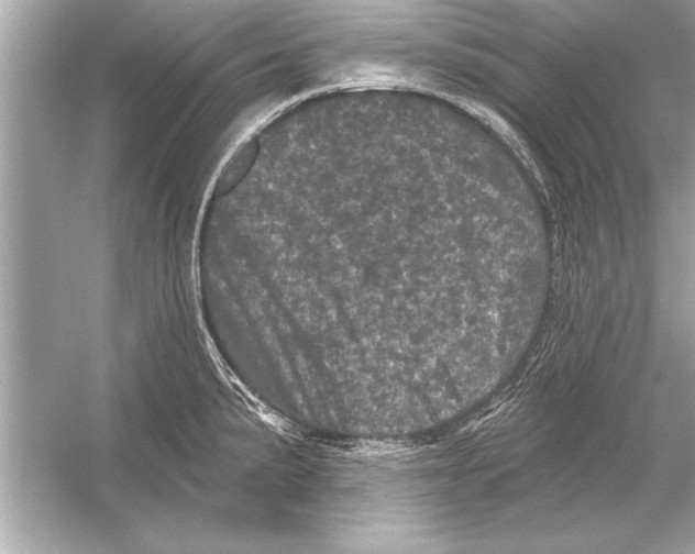 X0000051891191200507222008