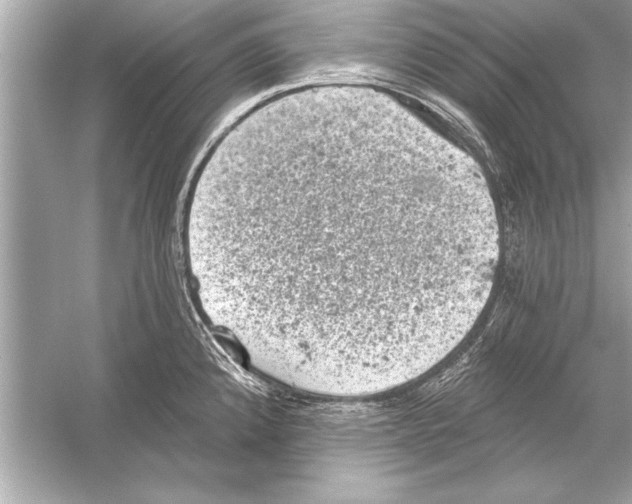 X0000051891192200507222008