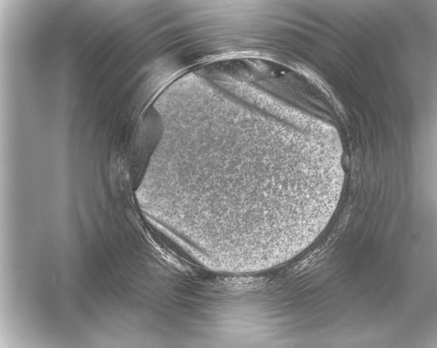 X0000051891193200507222007