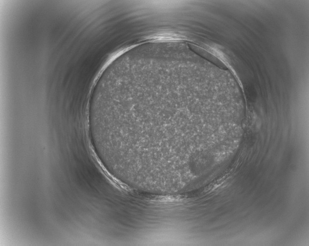 X0000051891195200507222007