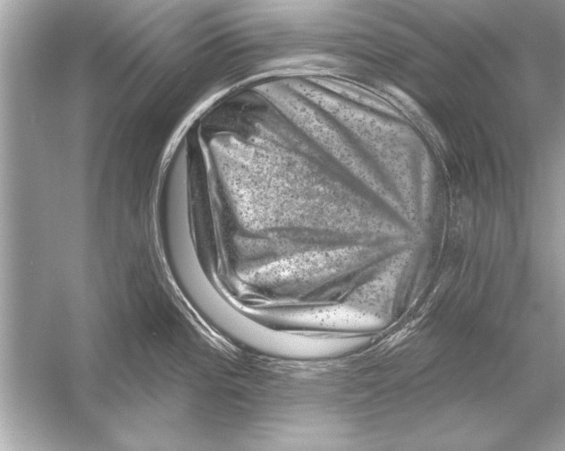 X0000051891196200507222007