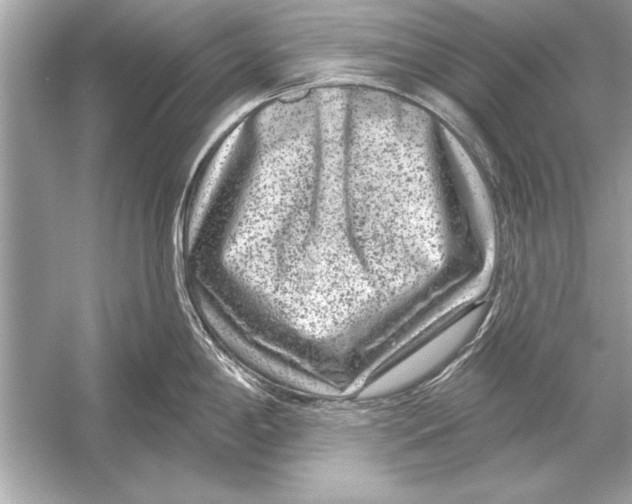 X0000051891198200507222007