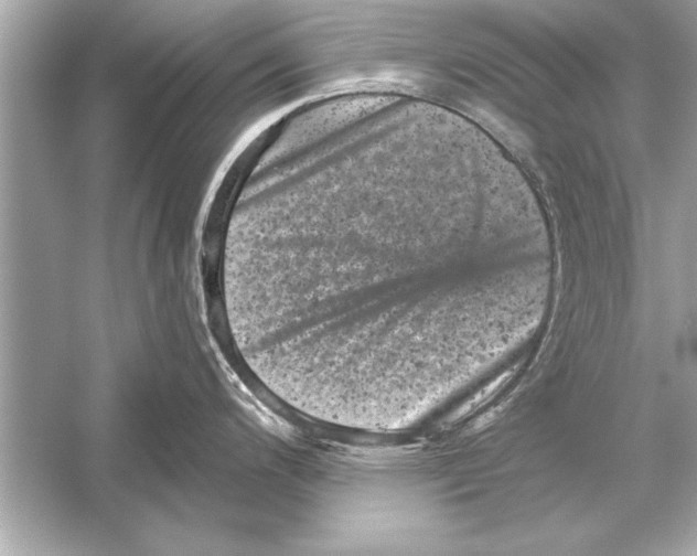 X0000051891200200507222007