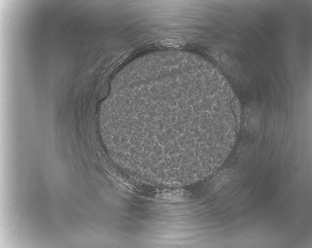 X0000051891201200507222007