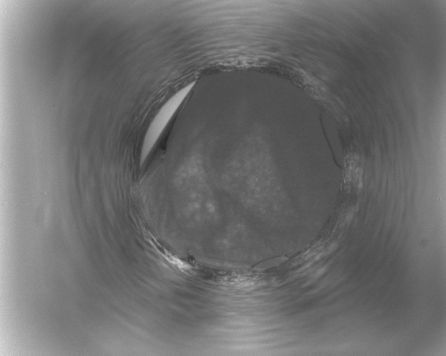 X0000051891202200507222007