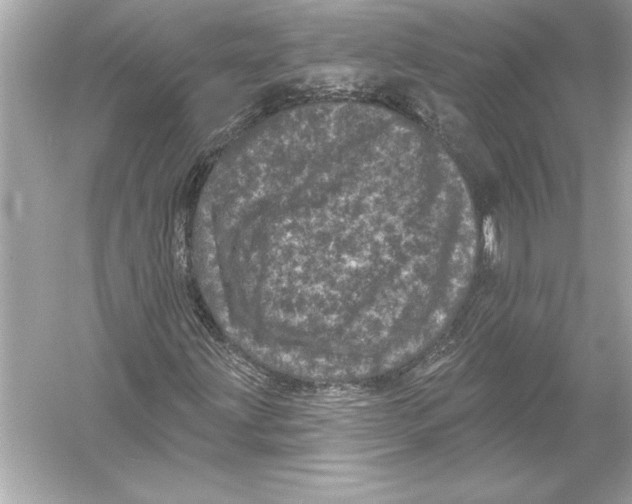 X0000051891203200507222007