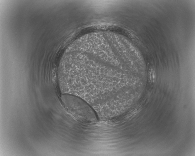 X0000051891204200507222007